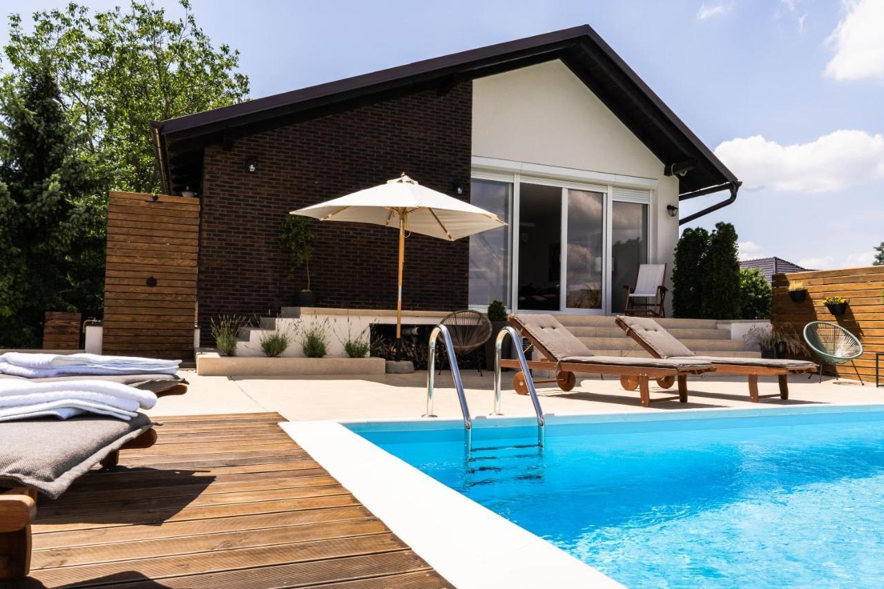 Villa Todor boutique house à Sremska Kamenica Extérieur photo