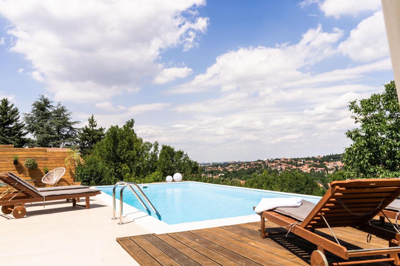 Villa Todor boutique house à Sremska Kamenica Extérieur photo