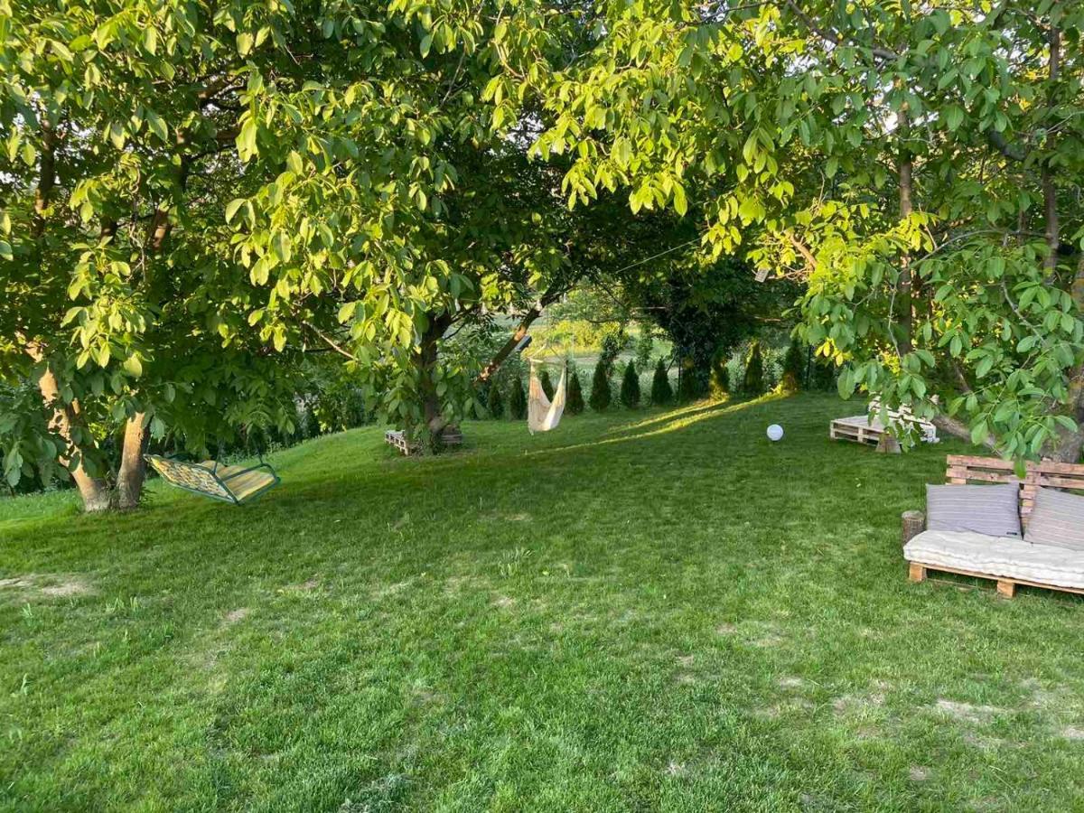 Villa Todor boutique house à Sremska Kamenica Extérieur photo