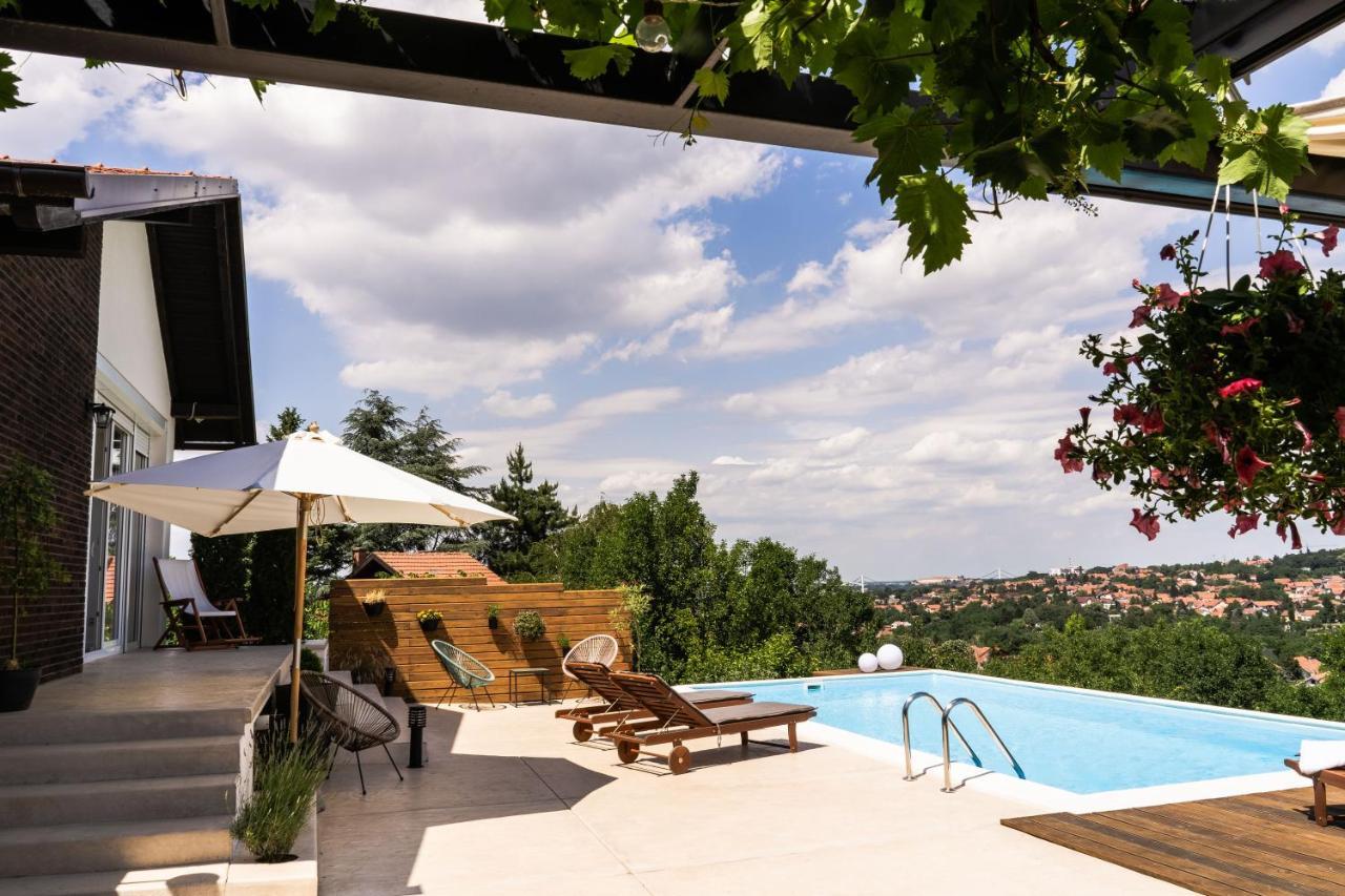 Villa Todor boutique house à Sremska Kamenica Extérieur photo