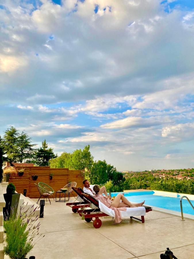 Villa Todor boutique house à Sremska Kamenica Extérieur photo