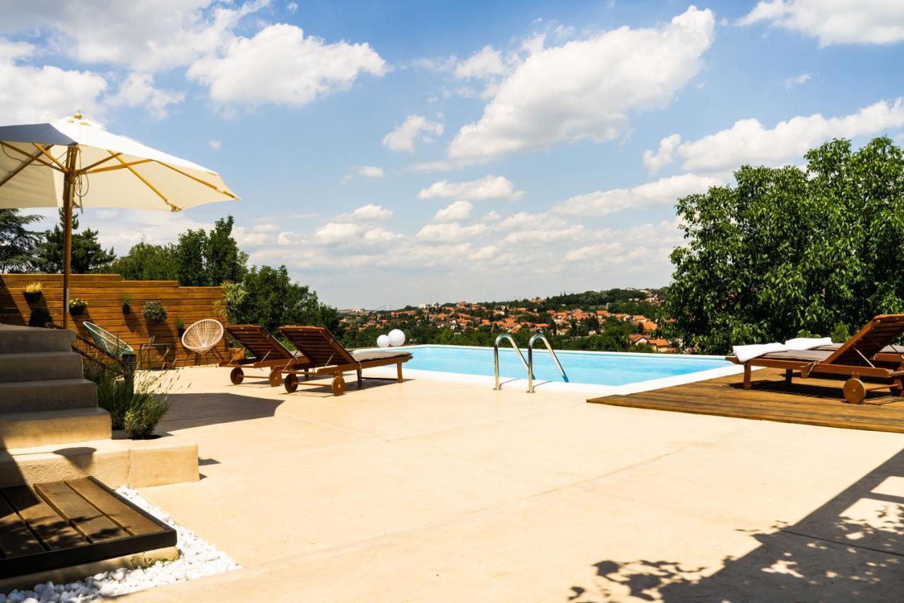 Villa Todor boutique house à Sremska Kamenica Extérieur photo